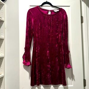 Velvet Pink Dress